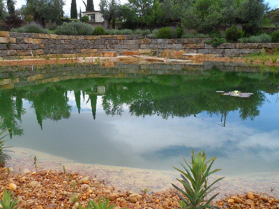 Beautiful swimming pond